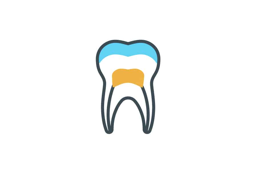 Endodontics (Root Canal)